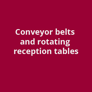 Conveyor belts